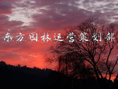 东方园林运营策划部