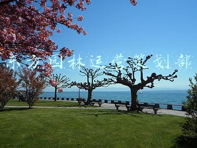 东方园林(市值蒸发五百亿，浙江女首富千万房产遭拍卖，东方园林怎么了？)