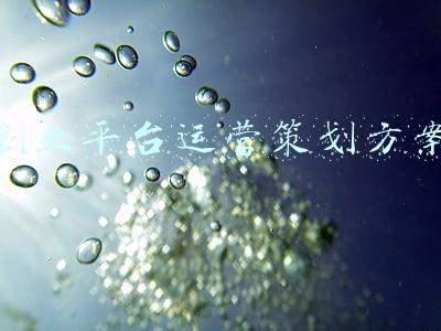 创业平台运营策划方案