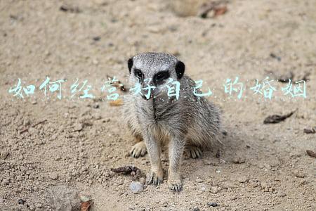 如何经营好自己的婚姻不让父母操心《怎么挽救父母的婚姻》