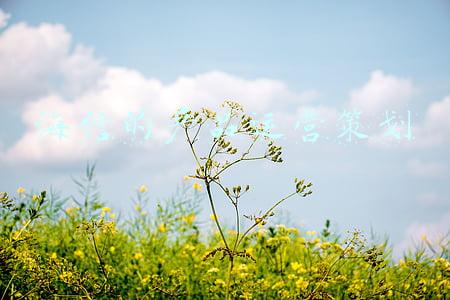 海信营销经理(2021年海信海外收入首破700亿元 总裁贾少谦详解逆势增长原因)