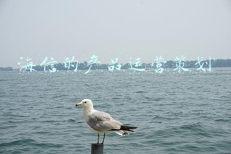 海信集团北京营销中心(穿透混改“疑云”：谁的海信集团？)