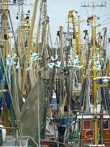海信电视机最新产品(显示行业领军者 海信全色激光电视登陆AWE2021)