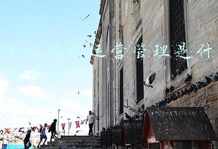 餐饮管理是什么意思(餐饮门店管理 | 管理究竟是该管人还是该管事？)