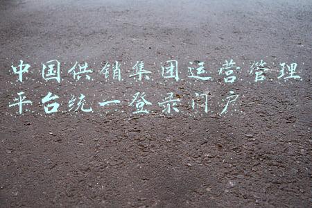 中国供销集团运营管理平台统一登录门户