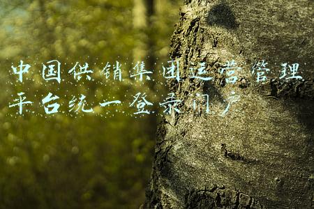 中国供销集团运营管理平台统一登录门户