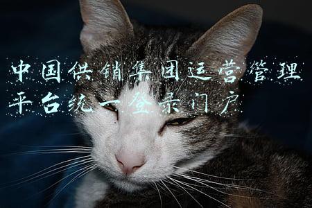 中国供销集团运营管理平台统一登录门户