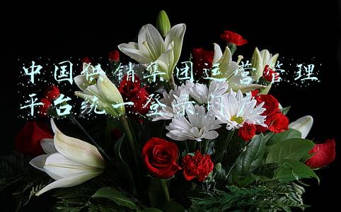 中国供销集团运营管理平台统一登录门户