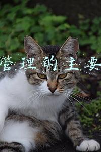 医院运营管理的主要内容(医院行政事务该如何去管理？)