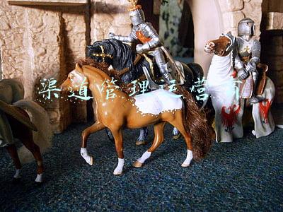 渠道管理运营商