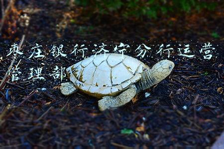 中国银行济宁分行营业部(中国银行济宁泗水支行：打造“有温度”的银行服务)
