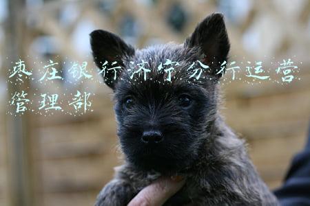 枣庄银行济宁分行运营管理部