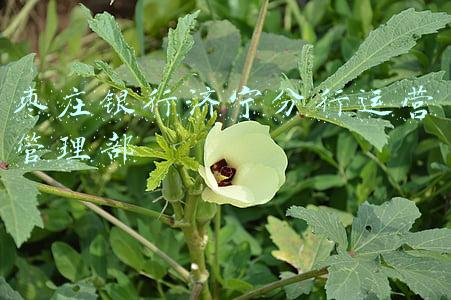 枣庄银行济宁分行运营管理部