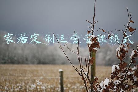 家居定制运营管理模式