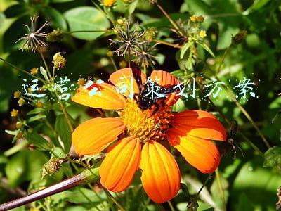 成立资产运营公司方案(巨量引擎发布全量增长方案，迈向营销与经营一体化时代)