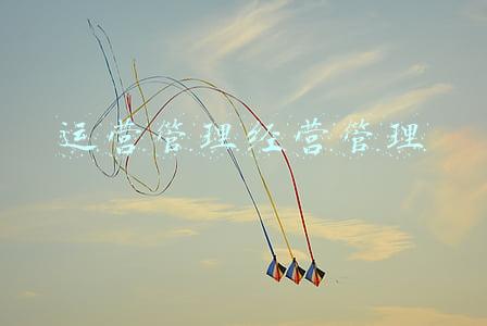 运营管理经营管理 运营管理经营管理