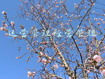 运营管理经营管理 运营管理经营管理