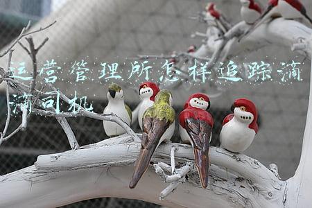 滴滴司机车辆管理在哪里(滴滴接单车辆不一致被封号如何解封？账号综合背景不通过封禁)
