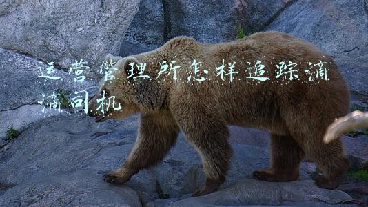 滴滴车主运管部门查不查(揭秘：滴滴“非法营运”被罚能报销？)