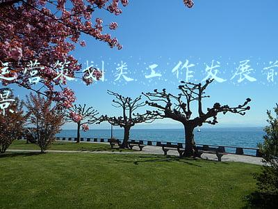 运营策划类工作发展前景