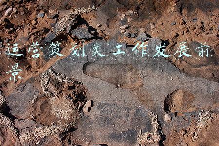 教育类发展前景(人民网评：职业教育前途广阔、大有可为)