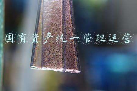国有资产统一经营管理(财政部规范事业单位财务制度)