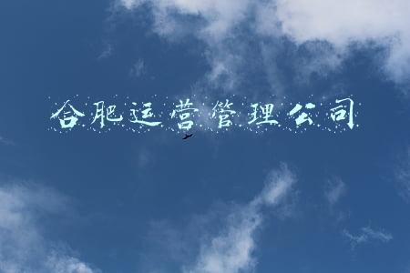 合肥运营管理公司