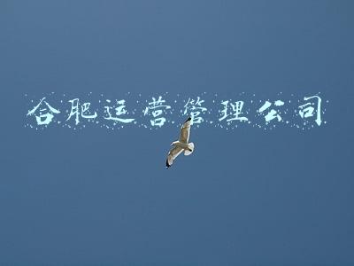合肥分公司(中国五冶集团安徽分公司揭牌仪式8月24日举行)