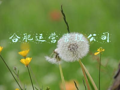 合肥运营管理公司