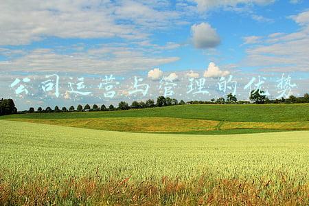 公司运营与管理的优势