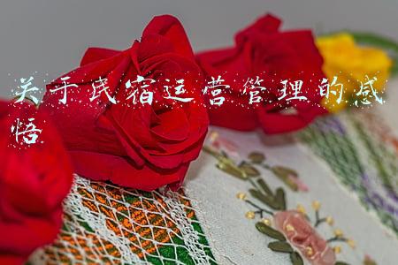 关于民宿运营管理的感悟