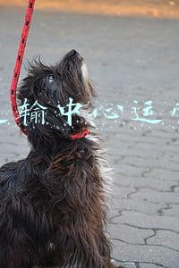 冷链运输中心运营管理