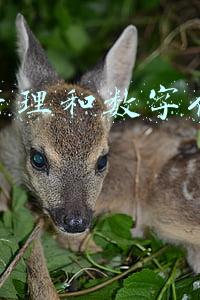 酒店管理和数字化运营管理