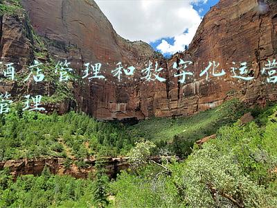 酒店管理和数字化运营管理