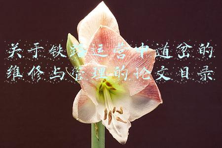 关于铁路运营中道岔的维修与管理的论文目录