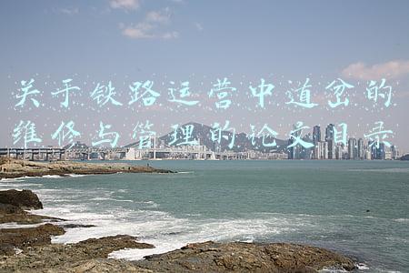 铁路线路道岔养护毕业设计(比心，一路有你，真好)