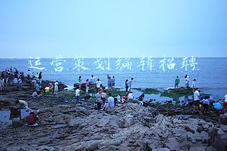 运营策划编辑招聘