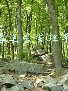 运营手册内容(运营之光：运营人的第一本完全手册)