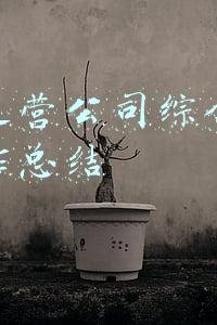 高速运营公司综合管理岗工作总结