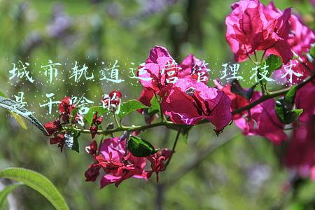 城市轨道运营管理技术是干啥的