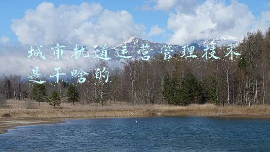 城市轨道运营管理技术是干啥的