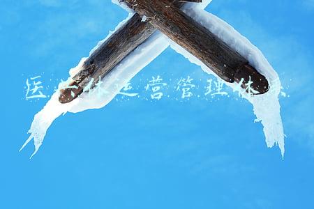 医共体运营管理体系