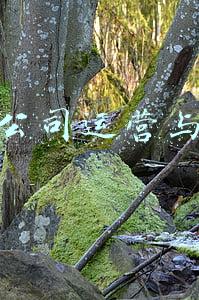 航空公司运营与管理 第六(达美航空需要正视自身管理问题，而不是甩锅给中国丨北京观察)