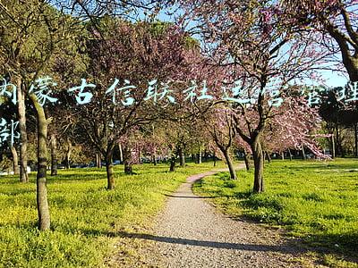 内蒙古信用联社官网(招1315人！内蒙古农村信用社最新招聘公告来了)