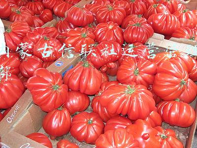 内蒙古自治区信用联社(莫力达瓦达斡尔族自治旗农信合作联社因内控管理严重缺位被罚45万)