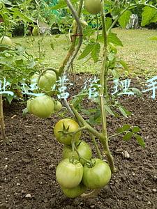 商业运营管理手册