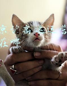 京沪高速江苏段(江苏建一个“大项目”，里程长，标准高，投入大，预计2023年建成)