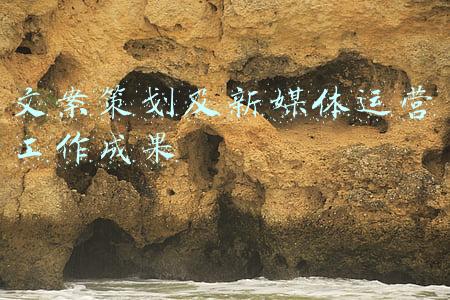 文案策划及新媒体运营工作成果