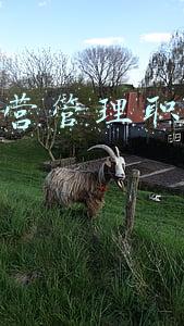 城轨交通运营管理专业就业前景(城市轨道交通专业，这个专业就业前景怎么样？)