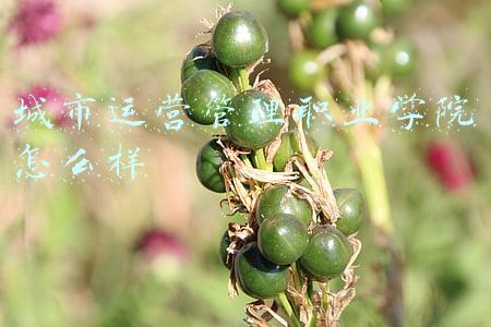 城市职业学院招聘(辽宁城市建设职业技术学院2021年面向社会公开招聘工作人员公告)